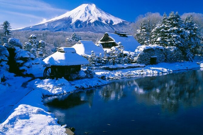 Mt. Fuji Tours with Kawaguchi Lake Ropeway View English Speaking - Weather is the biggest risk