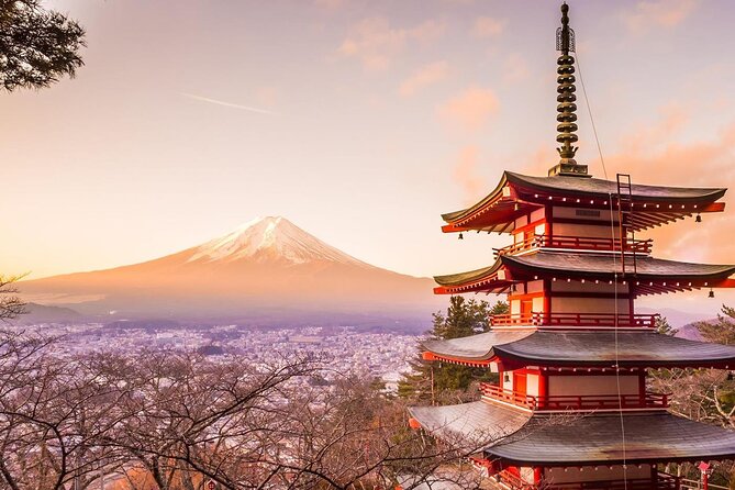 Mt. Fuji Tours with Kawaguchi Lake Ropeway View English Speaking - Riding the Lake Kawaguchi Panoramic Gondola