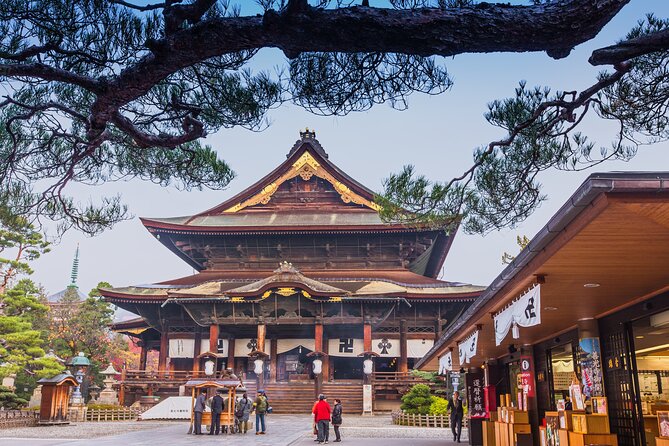 Nagano All Must-Sees 4hr Private Tour with Licensed Guide - Key points to know before booking