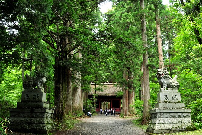 Nagano All Must-Sees 4hr Private Tour with Licensed Guide - Guides and the value of human explanation