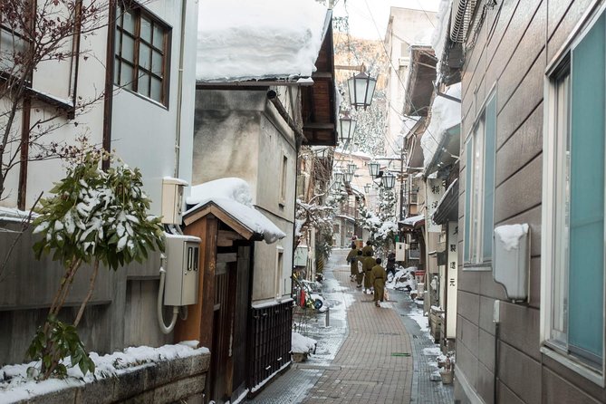 Nagano Private Two Day Tour - Public transport or private vehicle?