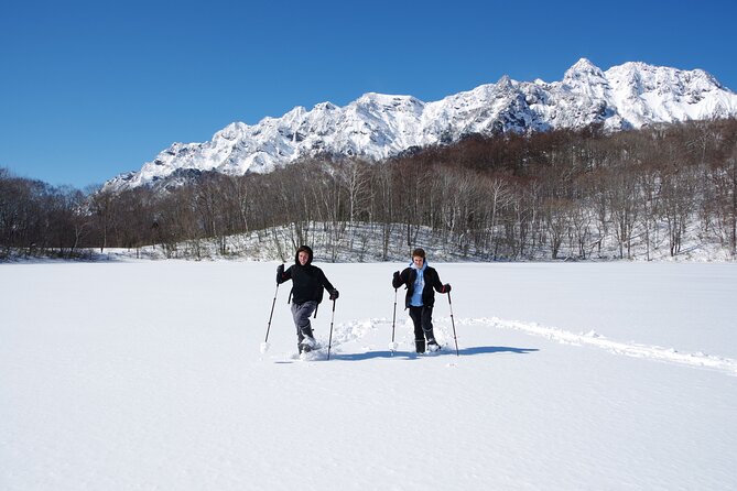 Nagano Snowshoe Hiking Tour - Why Togakushi works so well in winter