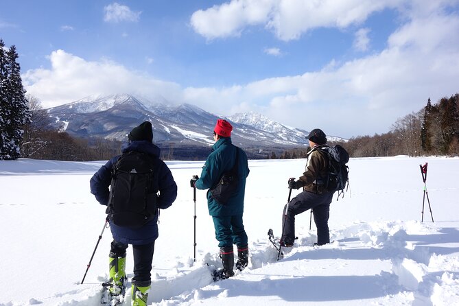 Nagano Snowshoe Hiking Tour - MSR snowshoes, poles, and winter boots
