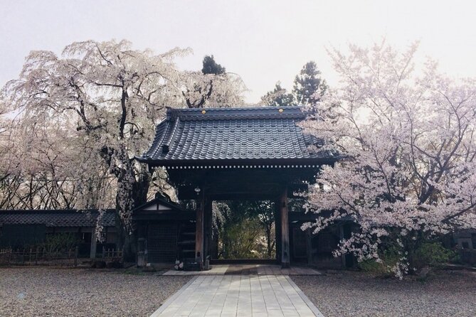 Nagano Spring: 1-Day Cherry Blossoms & Snow Monkeys Guided Tour - Why this Nagano day works so well
