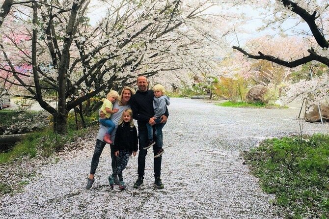 Nagano Spring: 1-Day Cherry Blossoms & Snow Monkeys Guided Tour - Why spring timing takes some planning