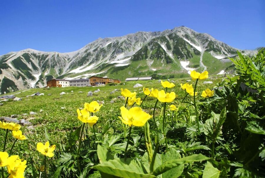 Nagano: Tateyama-Kurobe Guided Walking Tour - Why this route makes a memorable day from Nagano