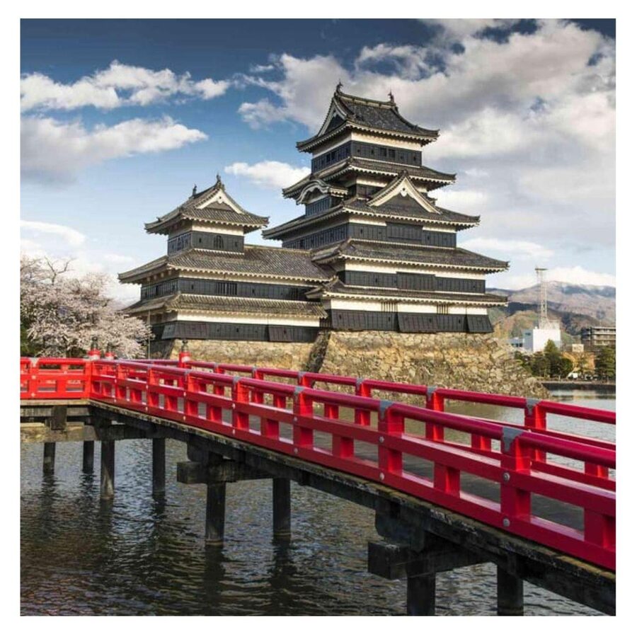 Nagano/Tokyo: Snow Monkey Private Day Tour At Lowest Rate - Timing from Tokyo is the make-or-break issue