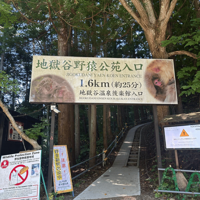 Nagano/Tokyo: Snow Monkey Private Day Tour At Lowest Rate - The snow monkeys are the clear main event