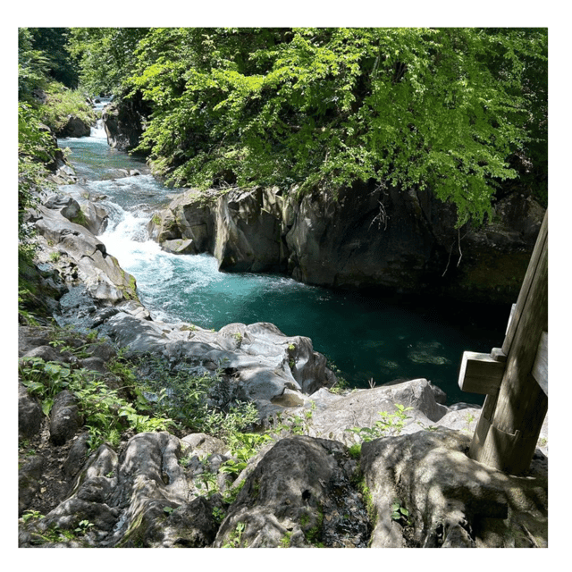 Nagano/Tokyo: Snow Monkey Private Day Tour At Lowest Rate - Obuse is the best stop for art, sweets, and lunch