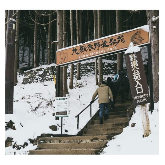 Nagano Tokyo: Snow Monkey Private Day Tour Hotel Pick & Drop - Why the snow monkeys are worth the long ride