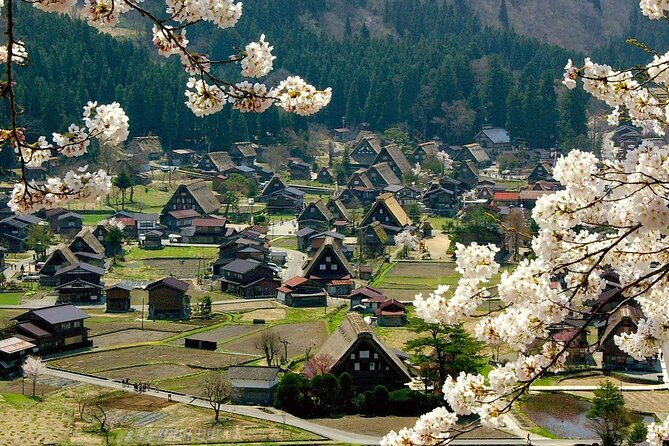 Nagoya: 2026 Hida Takayama Shirakawa-go Light-up Winter Tour - Shirakawa-go’s steep roofs and mountain setting