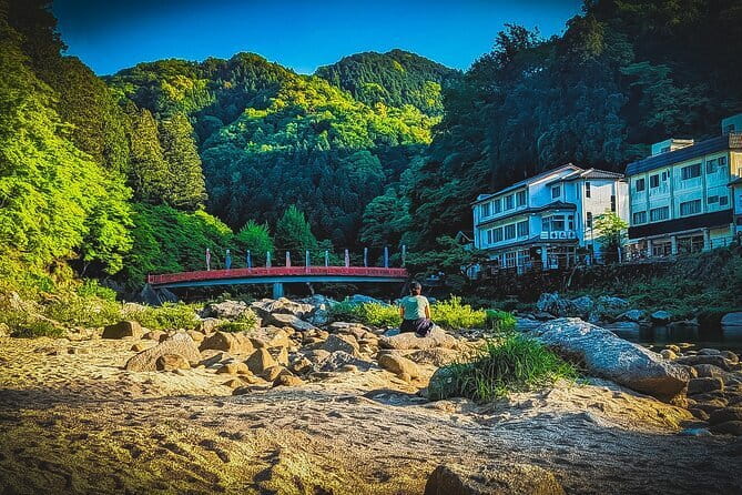 Nagoya: all-inclusive car tour to Korankei valley - Key points before you book