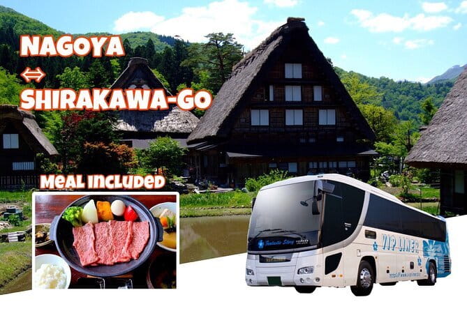 Nagoya: all-inclusive car tour to Korankei valley - Asuke Castle and its hilltop views