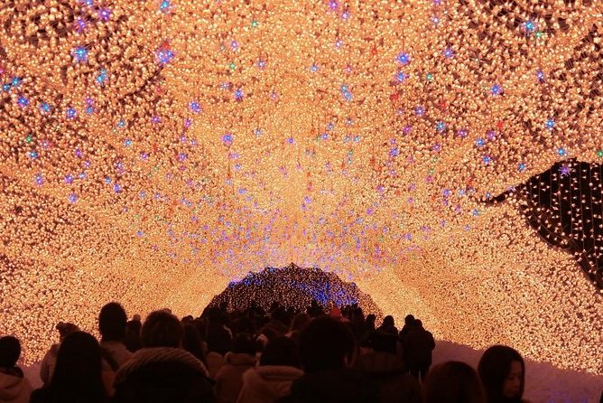 Nagoya : Private Nabana no Sato Tour : Illuminations & Shopping - Key points to know before booking