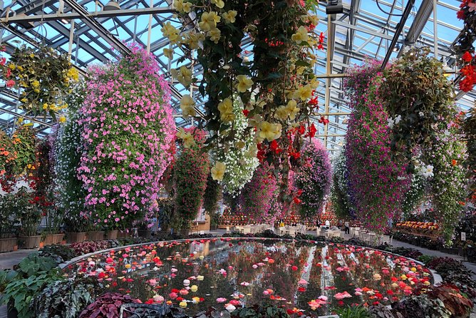 Nagoya : Private Nabana no Sato Tour : Illuminations & Shopping - Value at $82.53 per person