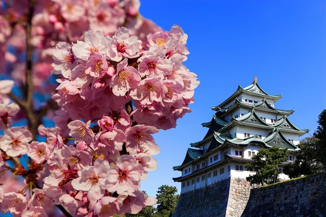 Nagoya Private Tour with a Local: Highlights & Hidden Gems - A private way to get your bearings in Nagoya