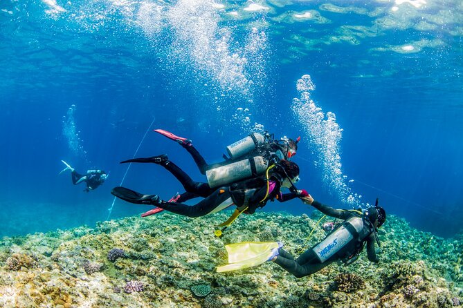 Naha: Full-Day Introductory diving & Snorkeling in the Kerama Islands, Okinawa - Time between swims on the boat
