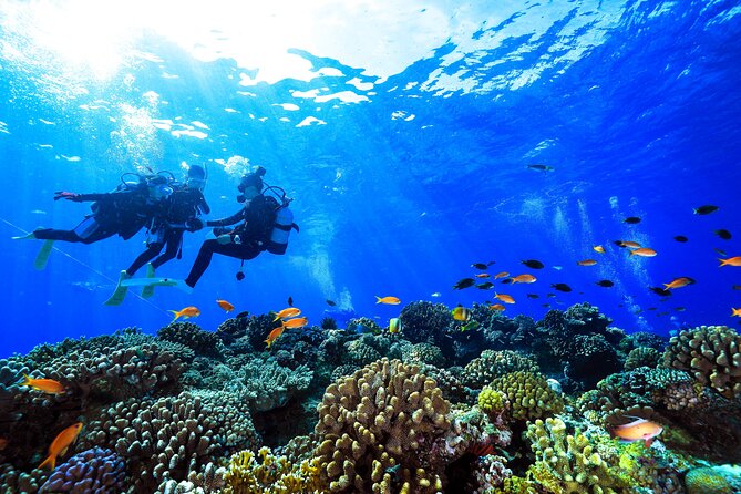 Naha: Full-Day Introductory diving & Snorkeling in the Kerama Islands, Okinawa - Who will get the most from this day