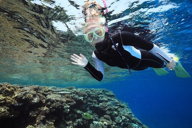 Naha: Full-Day Snorkeling Experience in the Kerama Islands, Okinawa - Gear, lunch, and the small comforts that matter