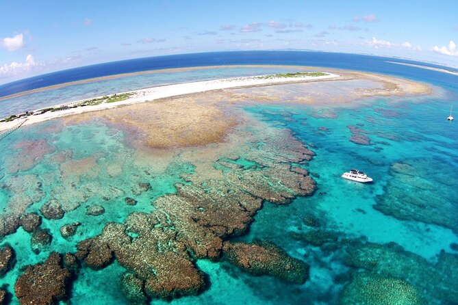 Naha: Full-Day Snorkeling Experience in the Kerama Islands, Okinawa - Is $52.85 good value?