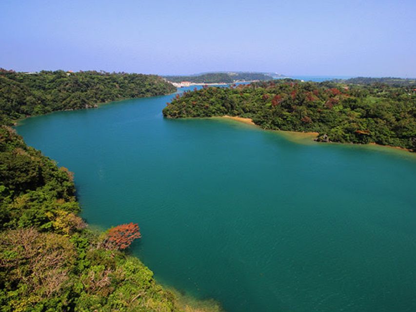 Naha: North Okinawa Sightseeing Tour & Churaumi Aquarium - Key points at a glance