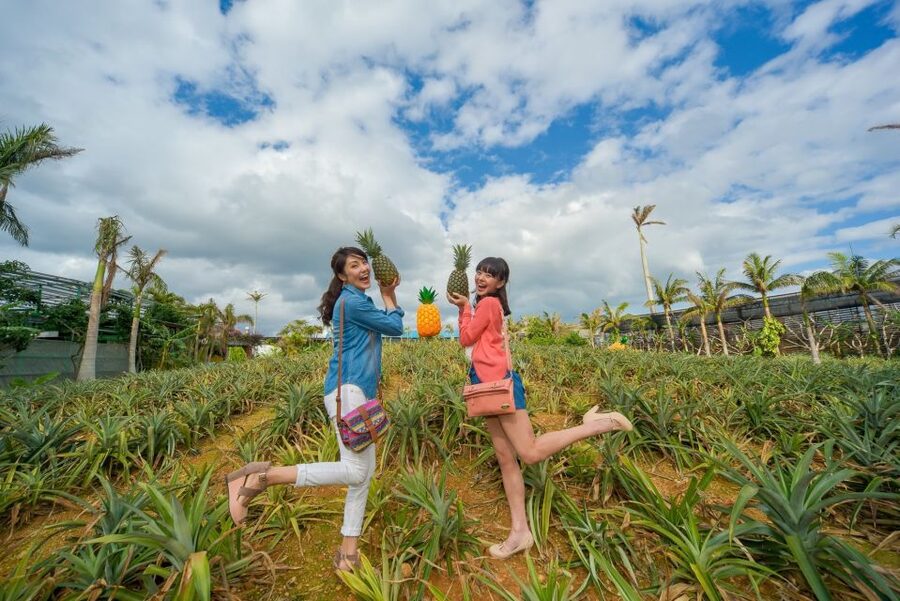 Naha: North Okinawa Sightseeing Tour & Churaumi Aquarium - Nago Pineapple Park and its rolling cart