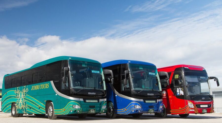 Naha: North Okinawa Sightseeing Tour & Churaumi Aquarium - Okashigoten Onna for Okinawan sweets