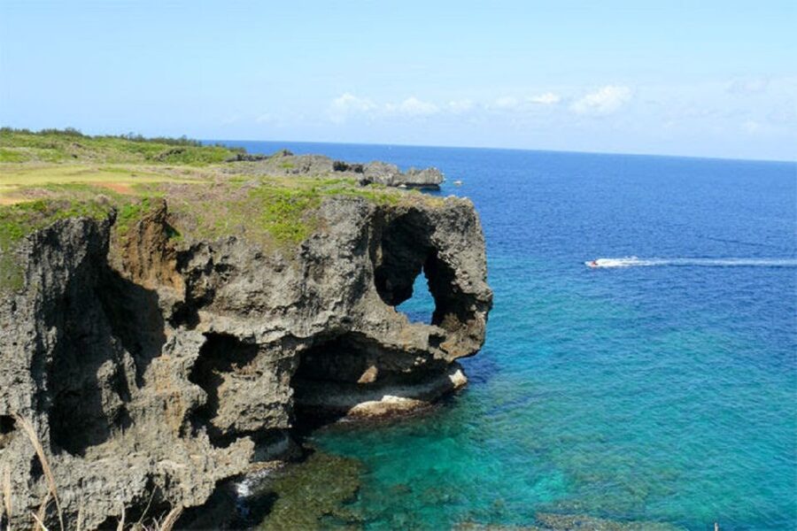 Naha: North Okinawa Sightseeing Tour & Churaumi Aquarium - Who should book it, and who should think twice
