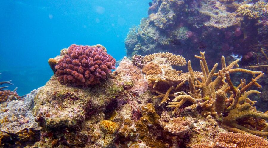 Naha, Okinawa: Kerama Islands Full-Day Intro-Diving Trip - Who should book this Naha boat trip?