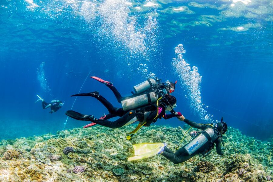 Naha, Okinawa: Kerama Islands Full-Day Intro-Diving Trip - The guides and the feel of the instruction