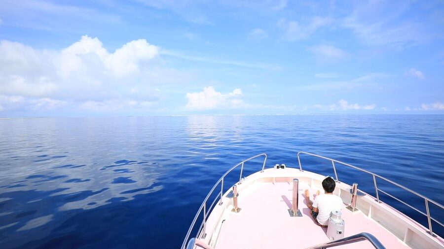 Naha, Okinawa: Kerama Islands Half-Day Whale Watching Tour - Quick points to know