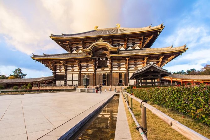 Nara Afternoon Tour from Kyoto or Osaka - Kasuga Shrine brings lanterns and a different mood