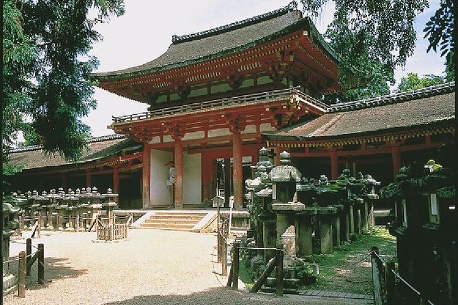 Nara Afternoon Tour from Kyoto or Osaka - Nara Park and the deer are the emotional highlight