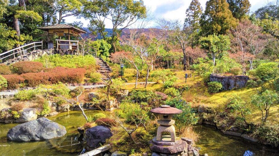 Nara: City Highlights Shared Group or Private Bike Tour - Key points at a glance