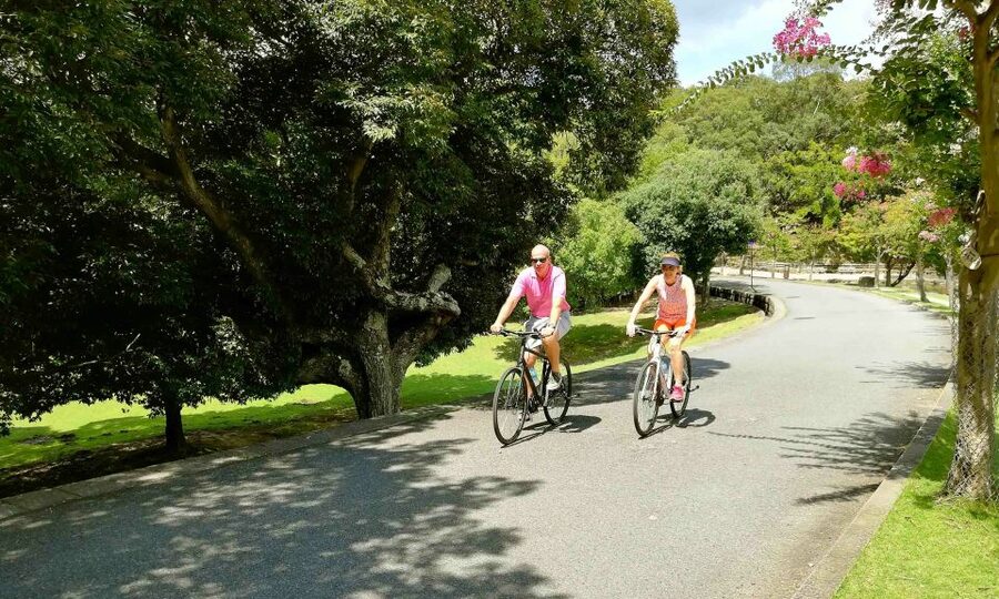 Nara: City Highlights Shared Group or Private Bike Tour - Kikuichi and the craft of Japanese knives
