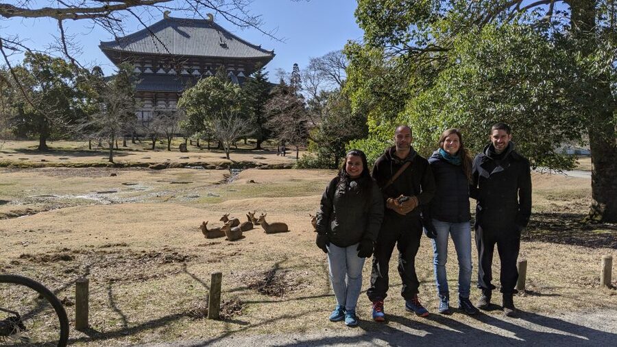 Nara: City Highlights Shared Group or Private Bike Tour - Meeting the guide near Toichi Shougakko