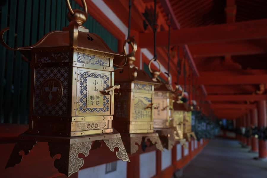 Nara Early Bird Tour (Kyoto Departure Option Available) - Key points at a glance
