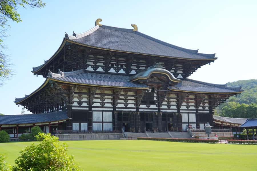 Nara Early Bird Tour (Kyoto Departure Option Available) - Kofuku-ji Temple and Nara’s first historic sights