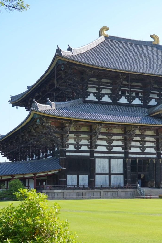 Nara Early Bird Tour (Kyoto Departure Option Available) - Walking toward Kasuga Grand Shrine