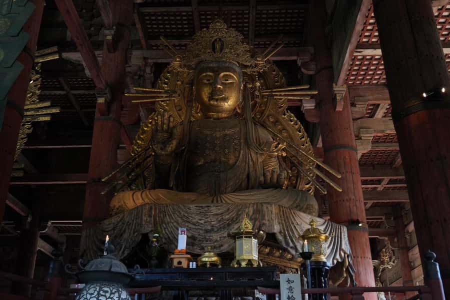 Nara Early Bird Tour (Kyoto Departure Option Available) - What the $88 price really covers