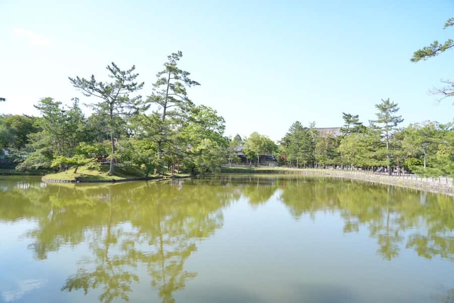 Nara Early Bird Tour (Kyoto Departure Option Available) - Meeting at Kyoto Station and riding to Nara