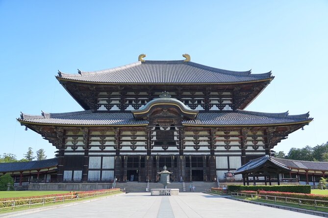 Nara Early Morning Tour (Kyoto or Osaka Departure Available) - Who should book this Nara morning walk