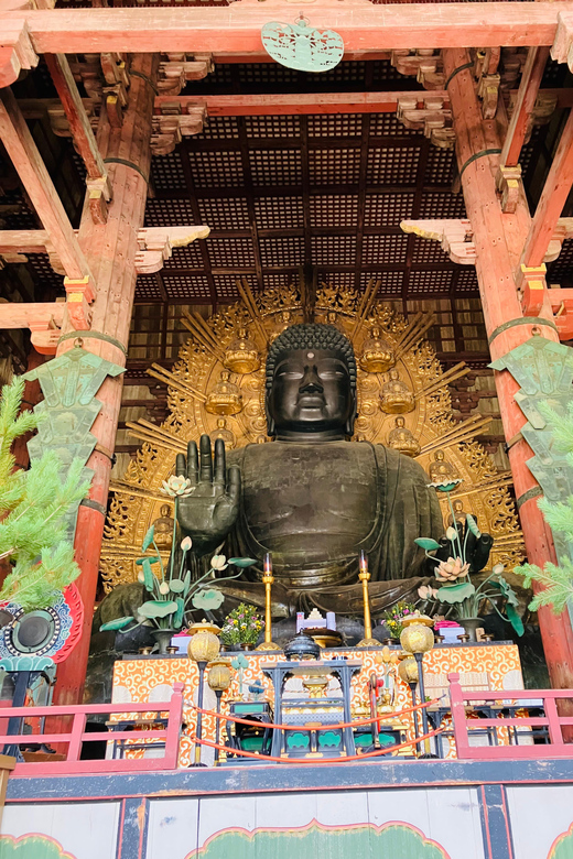Nara: Essential Private Tour with Deer Park and Temples - Kofuku-ji and Nara’s Buddhist center