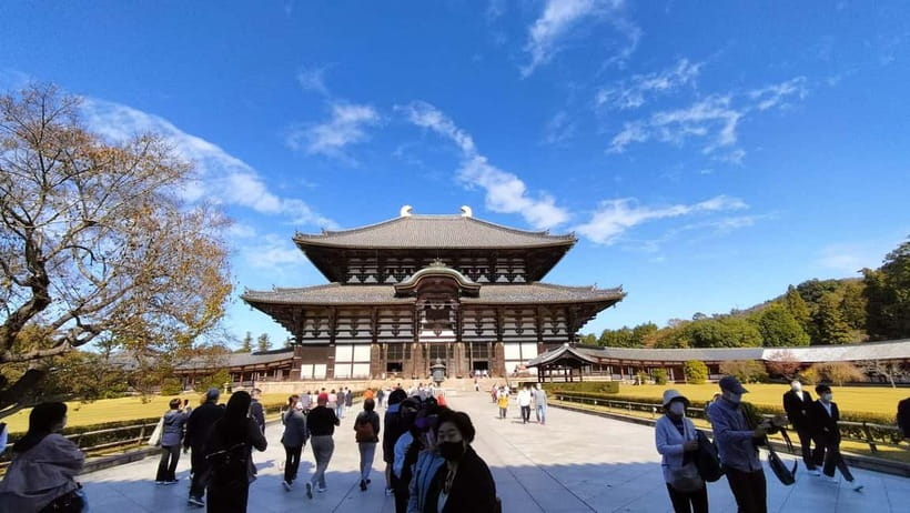Nara: Great Buddha, Kasuga Shrine & Deer Park Tour - What the guides add to the experience