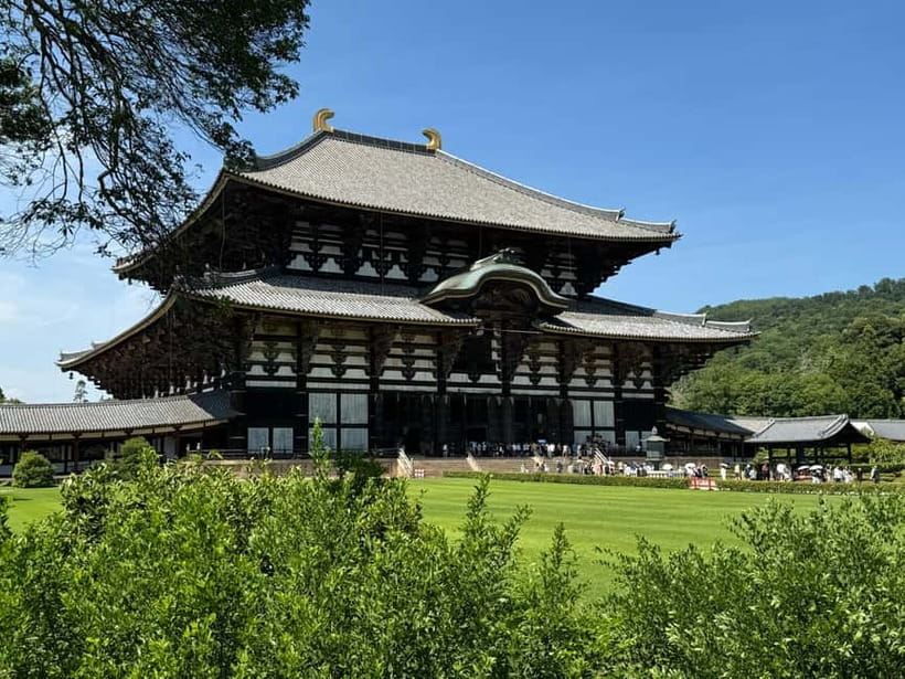 Nara: Great Buddha, Kasuga Shrine & Deer Park Tour - Who gets the best value from $77