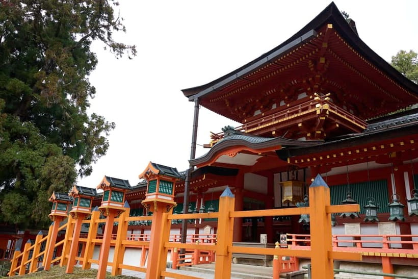 Nara: Great Buddha, Kasuga Shrine & Deer Park Tour - Practical details that shape your choice