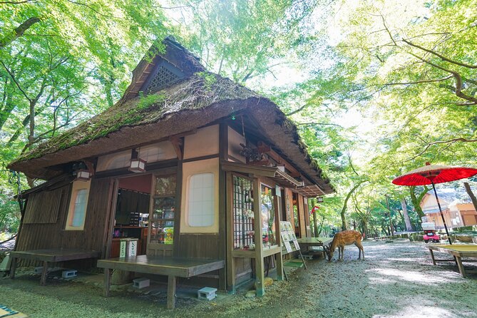 Nara Half Day Trip Walking Tour (Private Option Available) - The guides make the difference