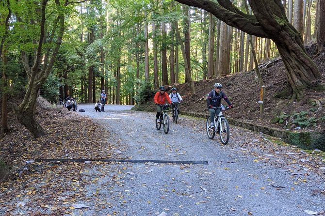 Nara - Heart of Nature Cross Bike Tour - Finishing beside Sagi Pond