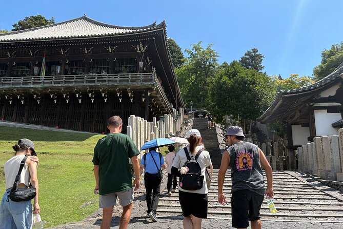 Nara Highlight Walking Tour with Furoshiki Experience with Lunch - Starting among Nara’s deer and Kasuga Taisha’s lanterns