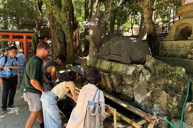 Nara Highlight Walking Tour with Furoshiki Experience with Lunch - What the $37 price really covers